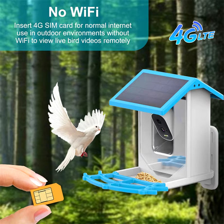 Bird Smart Feeder 1080P Camera, Solar, Night Vision, IP66, 4G/WiFi