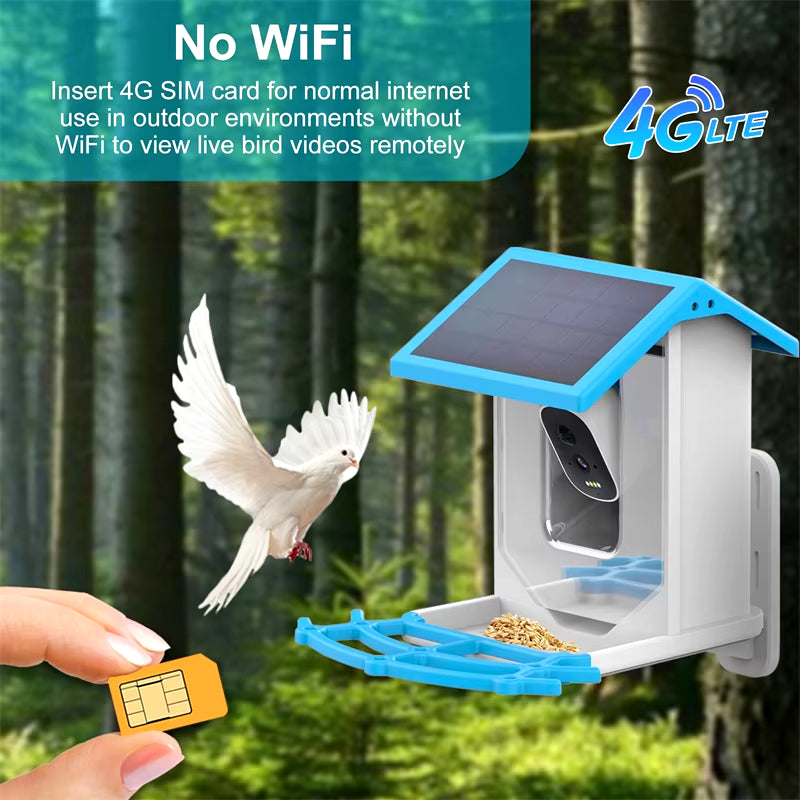 Bird Smart Feeder 1080P Camera, Solar, Night Vision, IP66, 4G/WiFi