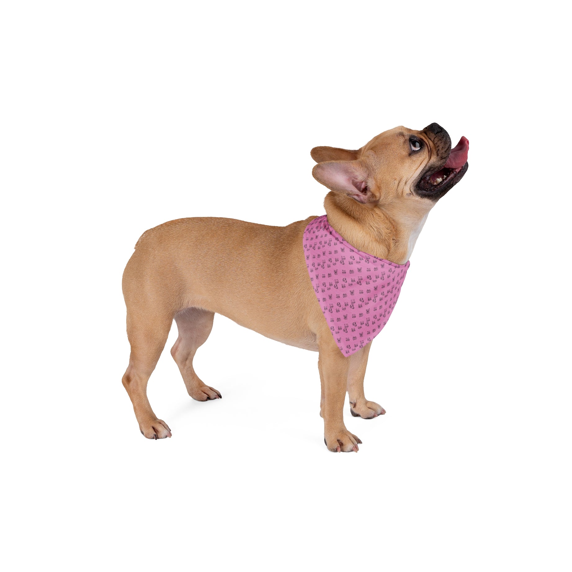 Cute Pink Pet Bandana – Perfect for Dogs & Cats, Stylish Accessory for Any Occasion