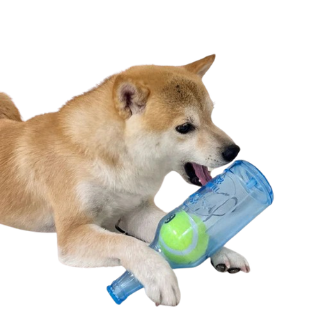 Pet Chew Toy TPR Bite-Resistant Beer Bottle with Tennis Ball