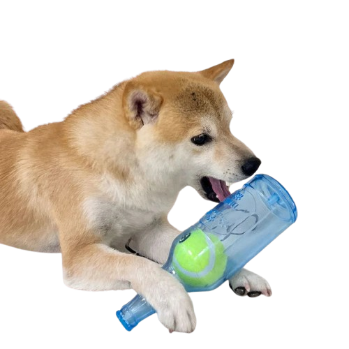 Pet Chew Toy TPR Bite-Resistant Beer Bottle with Tennis Ball