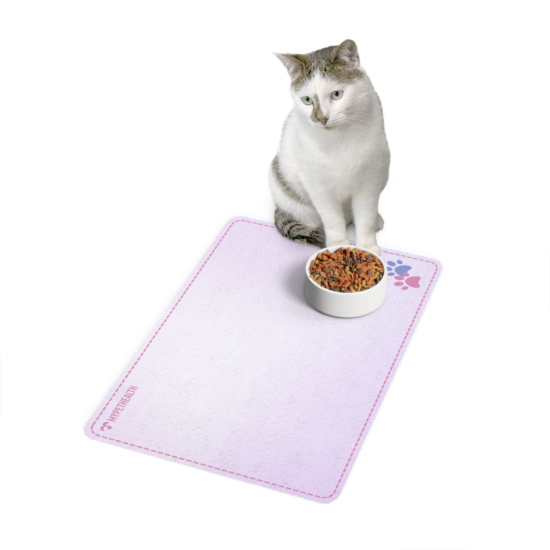 Basic MyPetHealth Litter Mat 1 - Purple 12x18 Durable & Stylish Design