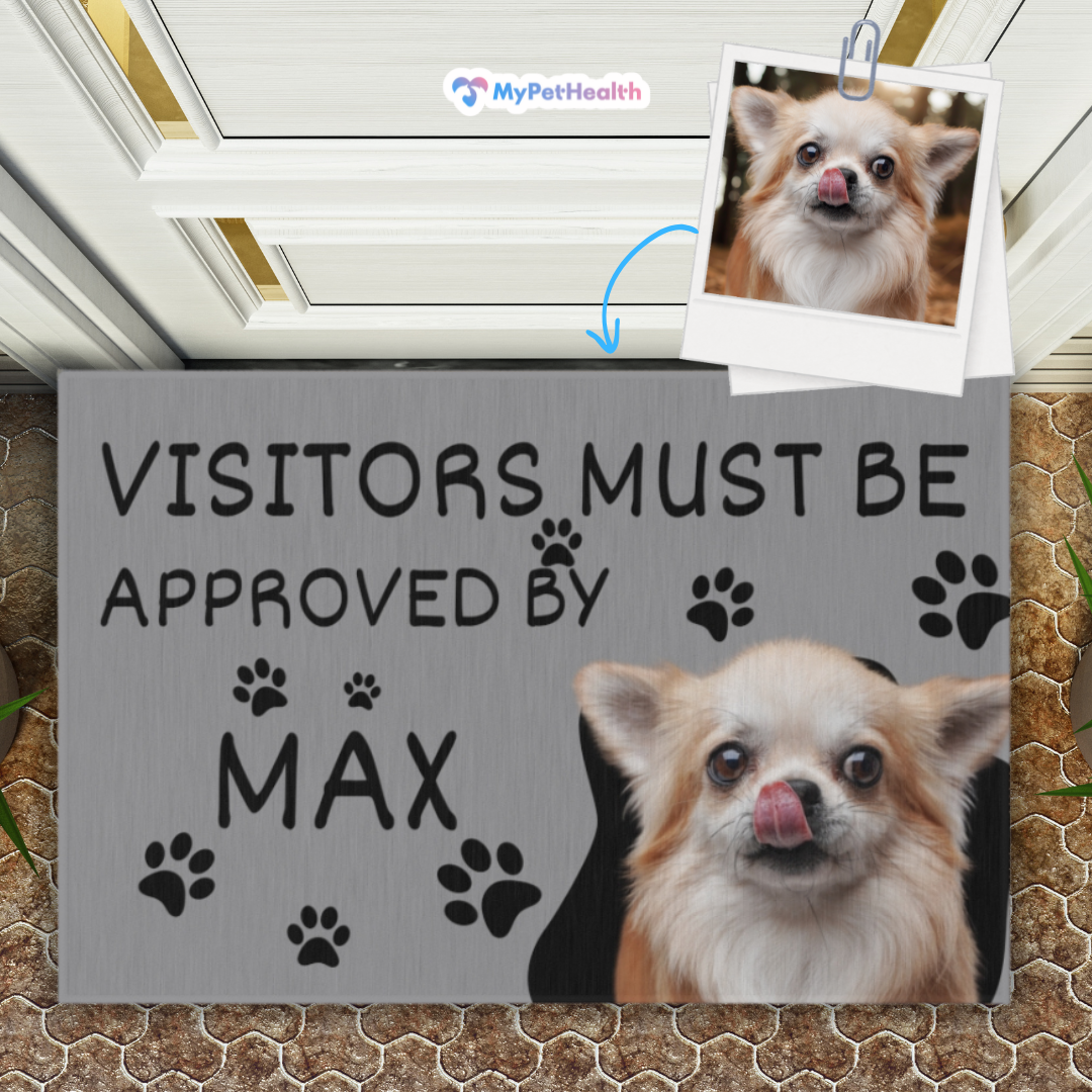 Custom Outdoor Pet Rug