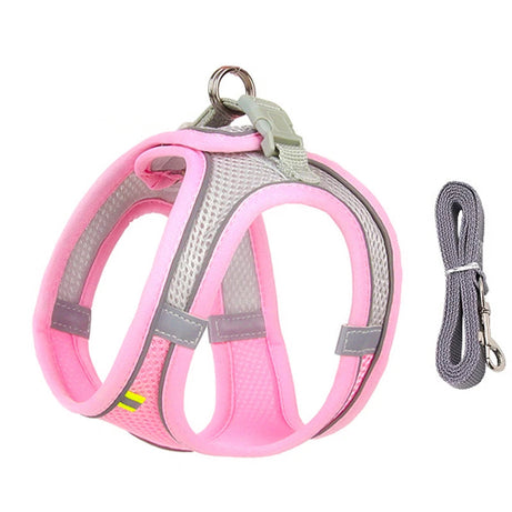 Dog Harness Leash Set for Small Pets – Adjustable Vest