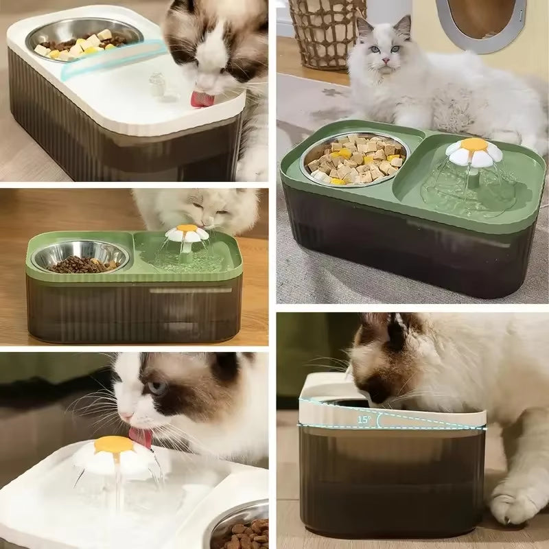 Cat & Dog Automatic Feeder & Water Dispenser, Large Capacity
