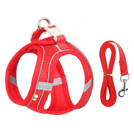 Dog Harness Leash Set for Small Pets – Adjustable Vest