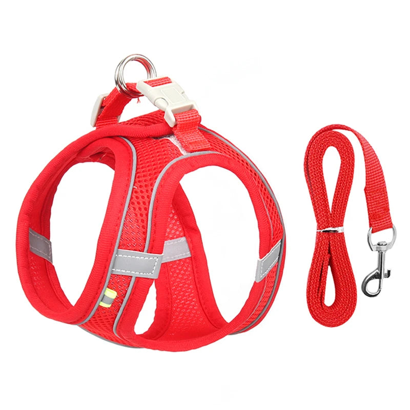 Dog Harness Leash Set for Small Pets – Adjustable Vest