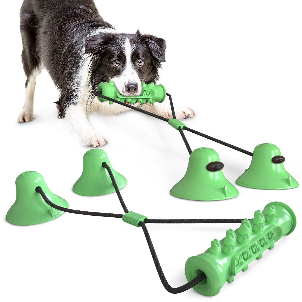 Dog Pacifier Toy