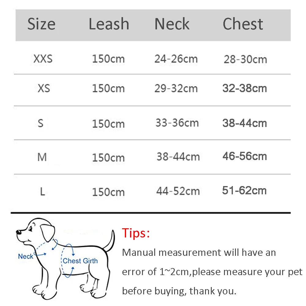 Dog Harness Leash Set for Small Pets – Adjustable Vest