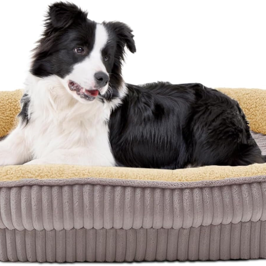 Comfortable Orthopedic Bed for Medium-Sized Dogs