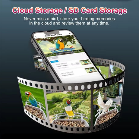 Bird Smart Feeder 1080P Camera, Solar, Night Vision, IP66, 4G/WiFi