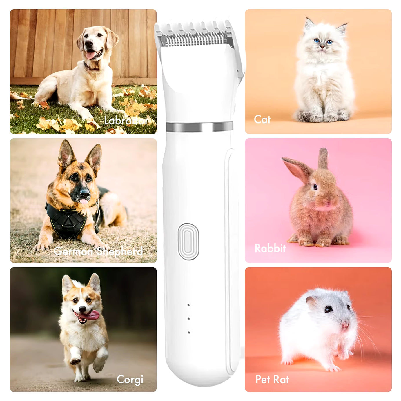 Pet 4-In-1 Pet Grooming Kit