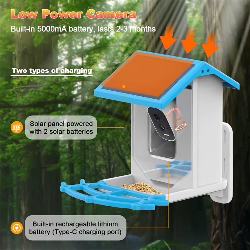 Bird Smart Feeder 1080P Camera, Solar, Night Vision, IP66, 4G/WiFi