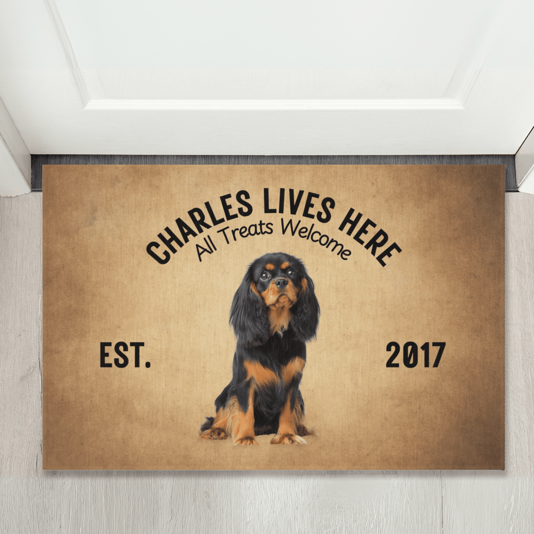 Custom Outdoor Pet Rug