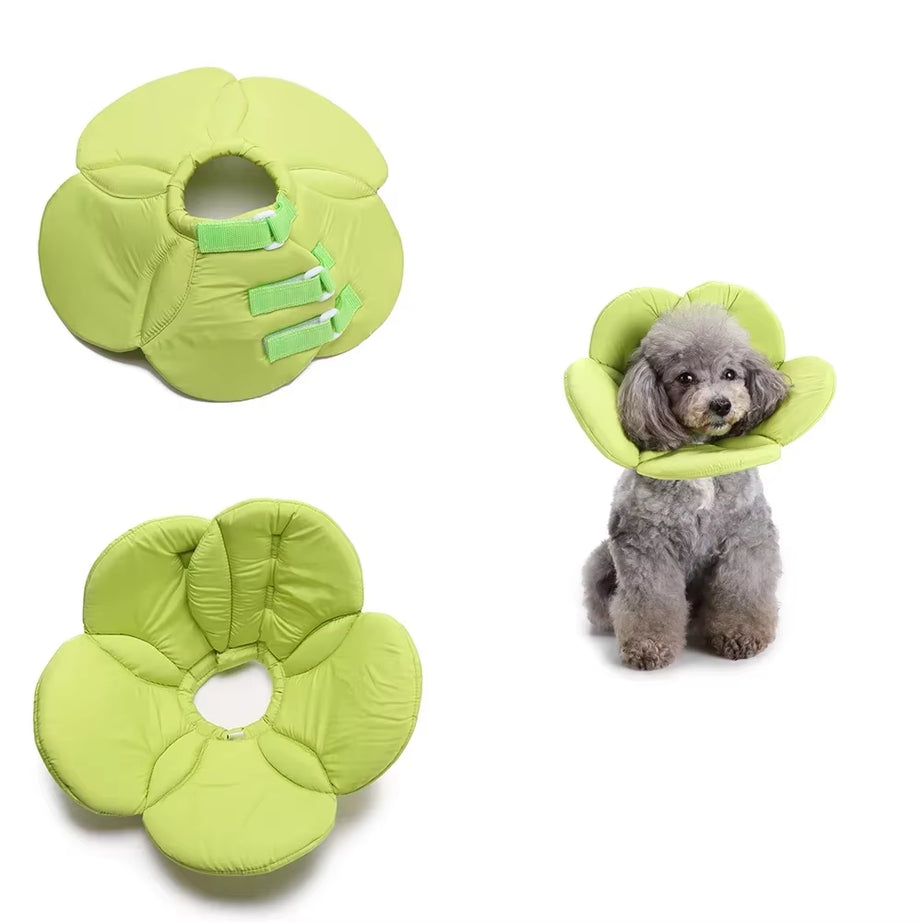 Flower Shape Dog Surgery Collar, Anti-Barking, Pomeranian Recovery