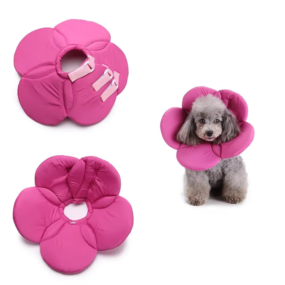 Flower Shape Dog Surgery Collar, Anti-Barking, Pomeranian Recovery