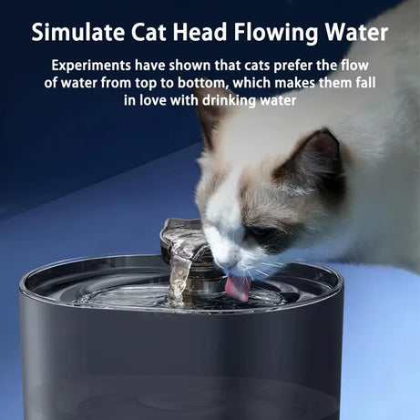 Cat Water Fountain USB Electric Pump Auto Recirculate Filtration