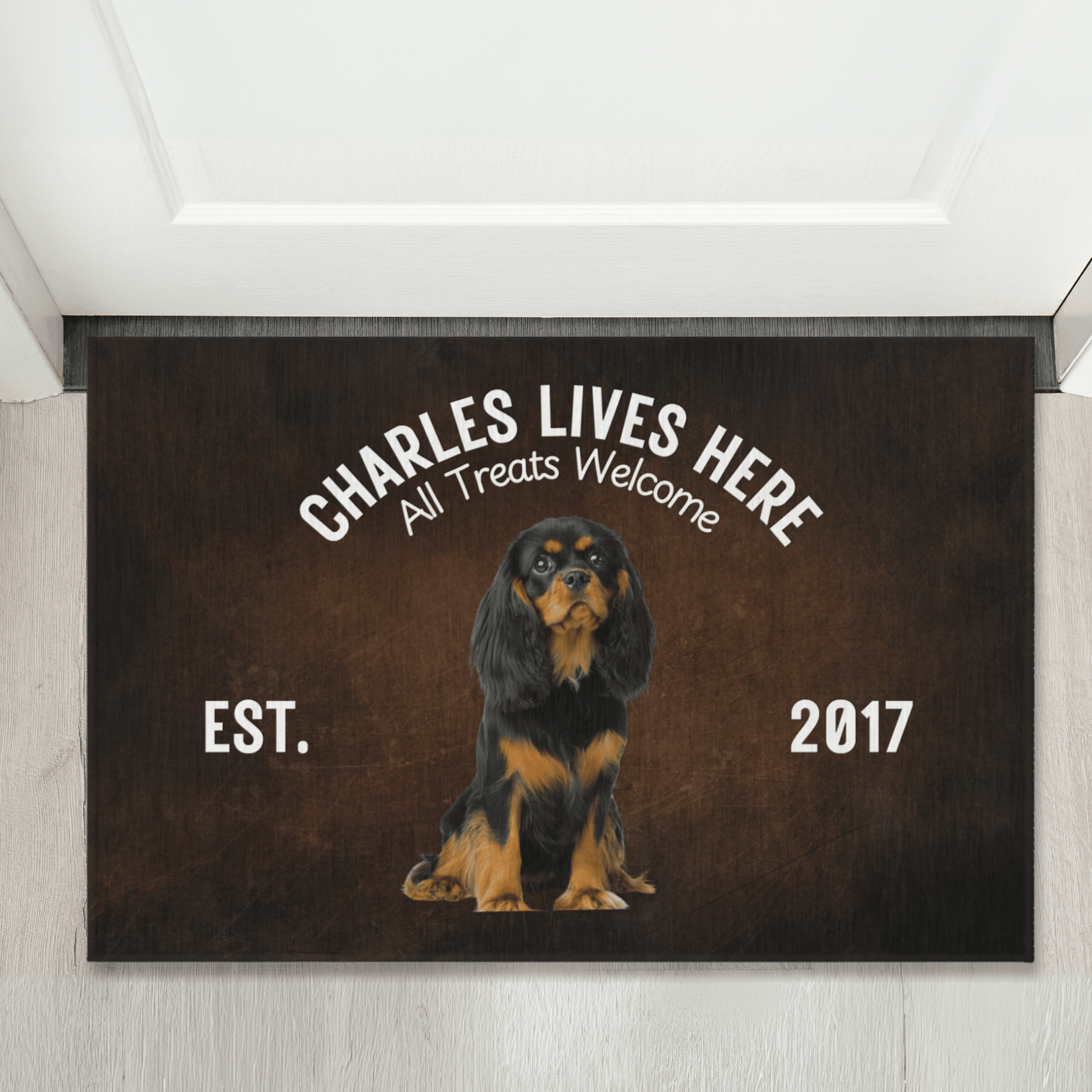 Custom Outdoor Pet Rug