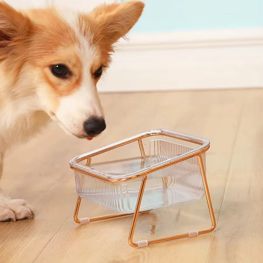 Transparent Cat Bowl, High Foot, Oblique Neck, Easy to Clean