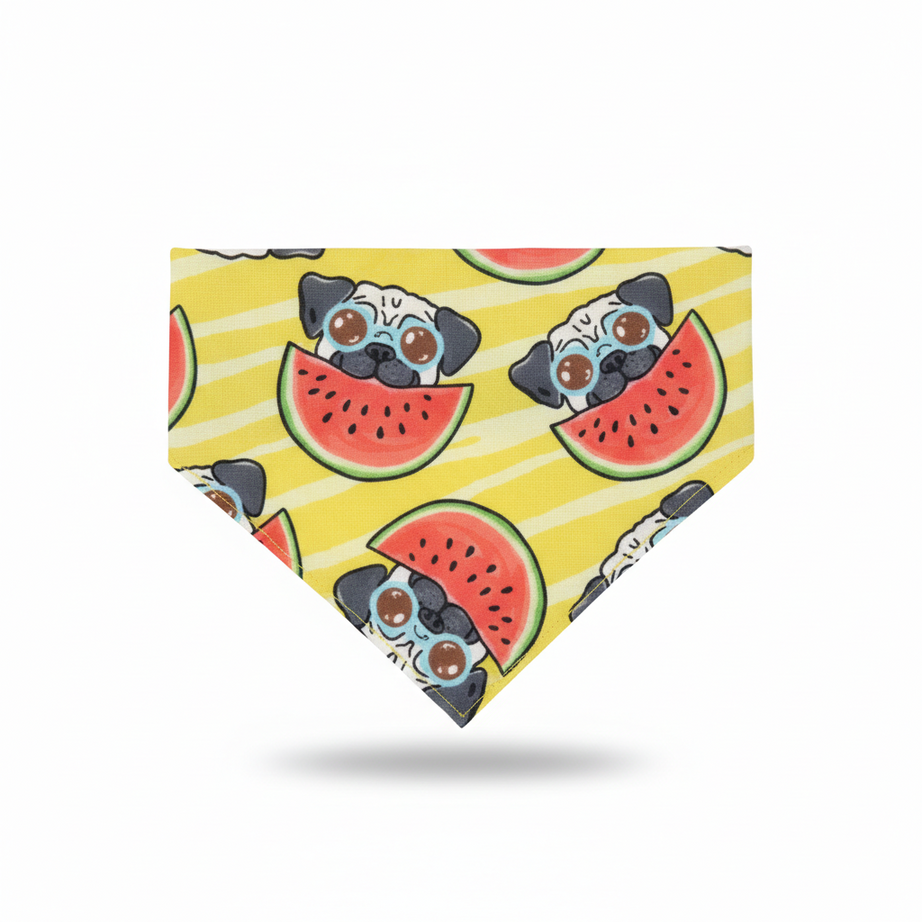 Cute Pet Bib Towel Collar for Small Dogs & Cats