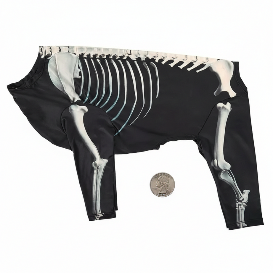 Dog Skeleton Hoodie – Four-Leg Pet Pullover Costume