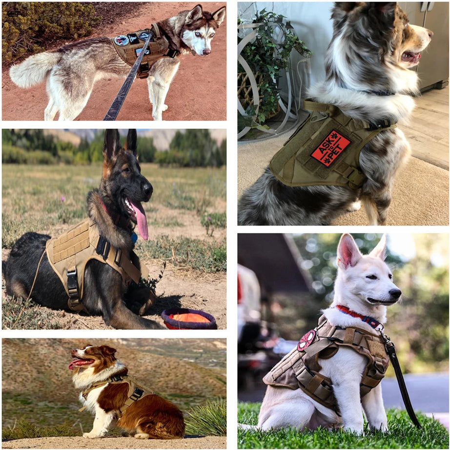 Tactical Dog Vest Harness
