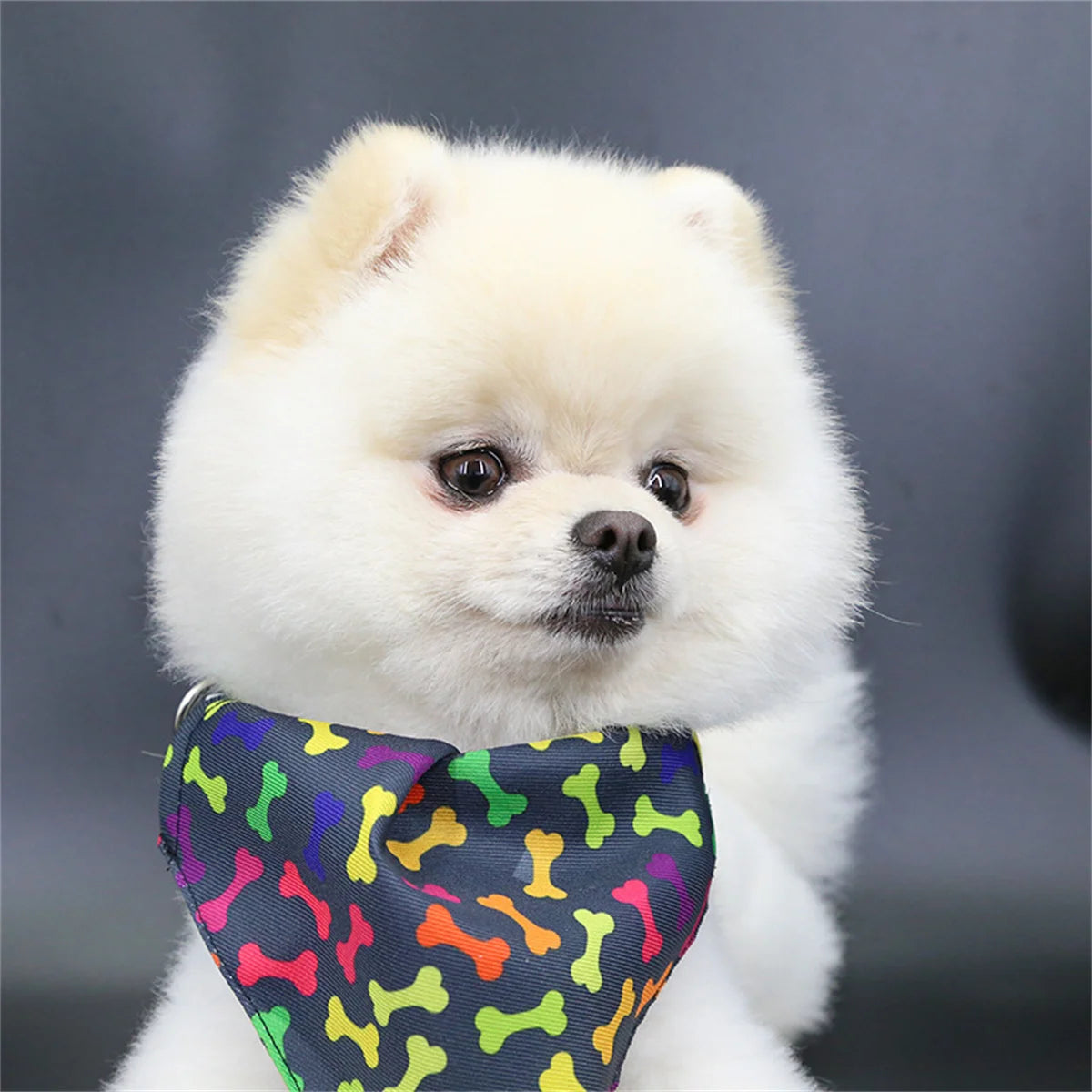 Cute Pet Bib Towel Collar for Small Dogs & Cats