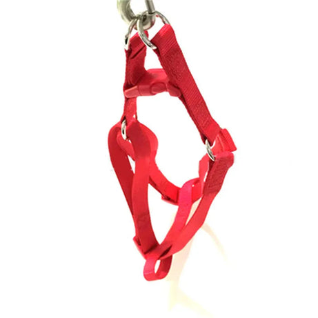 No-Pull Dog Harness Vest Leash for Small/Medium Dogs