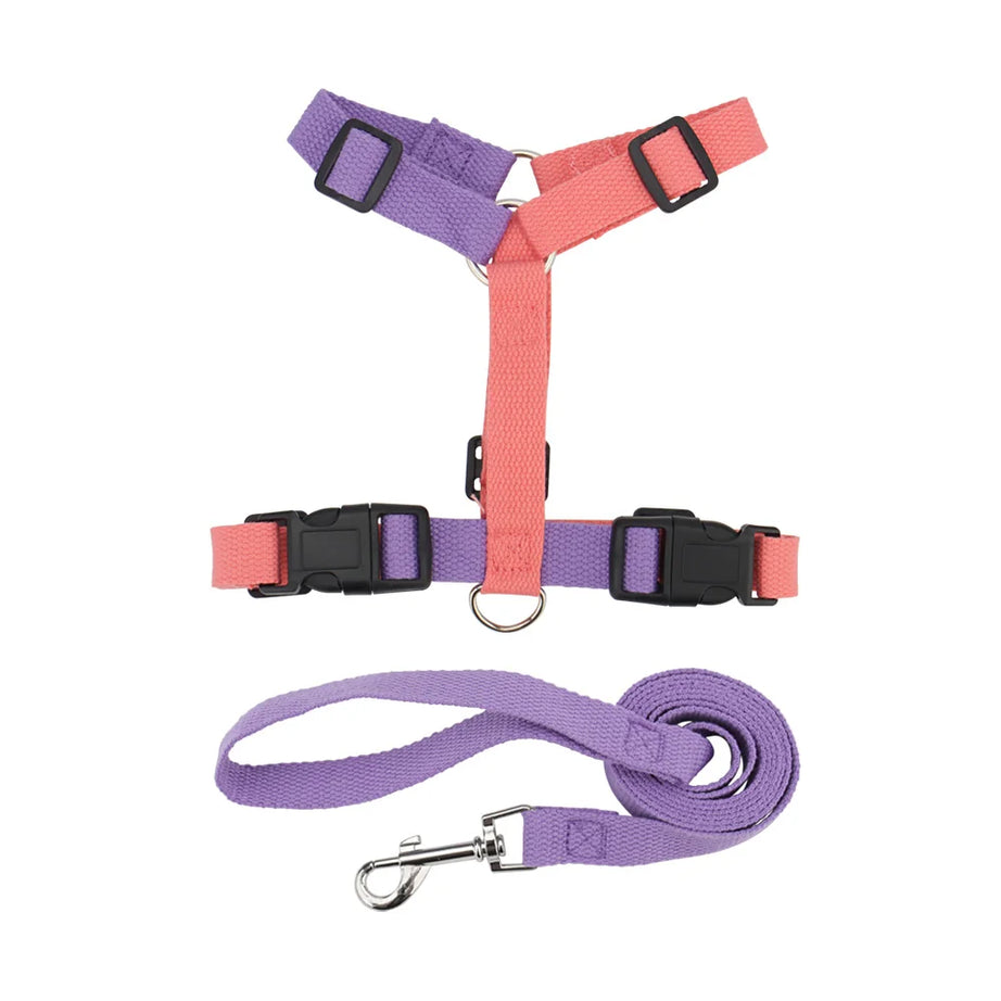 Pet Harness & Leash Set – Adjustable, Escape-Proof, Soft