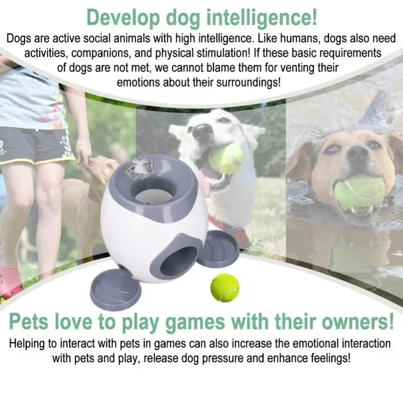 Automatic Dog Ball Launcher & Smart Feeder for Medium Dogs