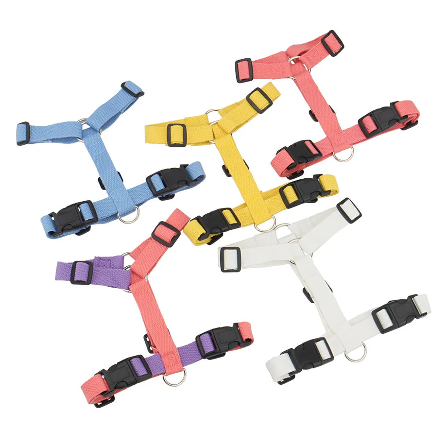 Pet Harness & Leash Set – Adjustable, Escape-Proof, Soft