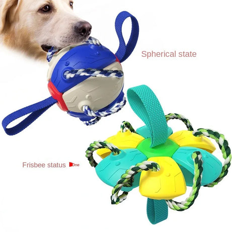 2-In-1 Dog Ball Frisbee with Rope