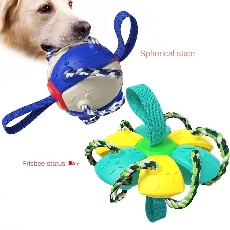 2-In-1 Dog Ball Frisbee with Rope