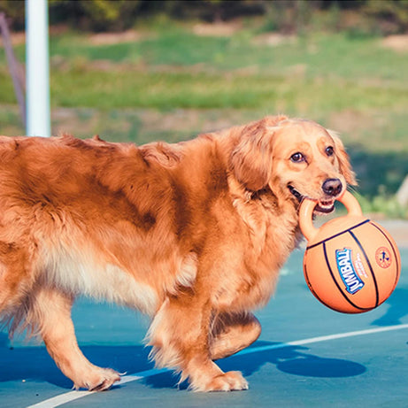 Dog Toy: Bite-Resistant Interactive Ball with Rubber Handle for Dogs