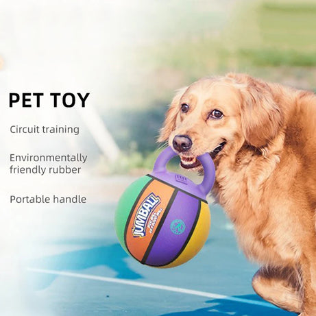 Dog Toy: Bite-Resistant Interactive Ball with Rubber Handle for Dogs