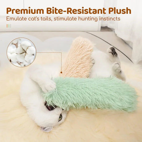 Funny Catnip Toy – Plush, Sounding, Bite-Proof Pillow Toy