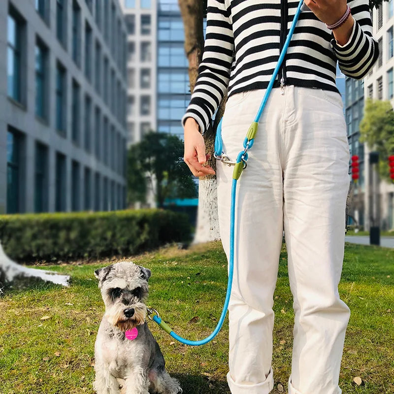 Reflective Nylon Dog Leash Hands-Free for Small Large Pets