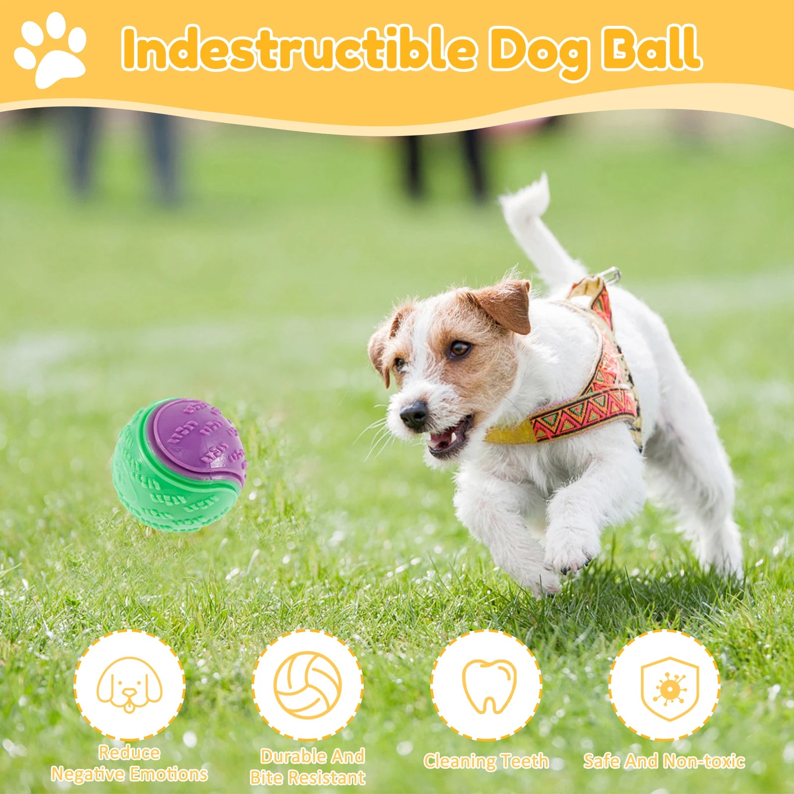 6Pcs Squeaky Dog Chew Toys, TPR Teeth-Cleaning Balls