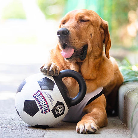 Dog Toy: Bite-Resistant Interactive Ball with Rubber Handle for Dogs