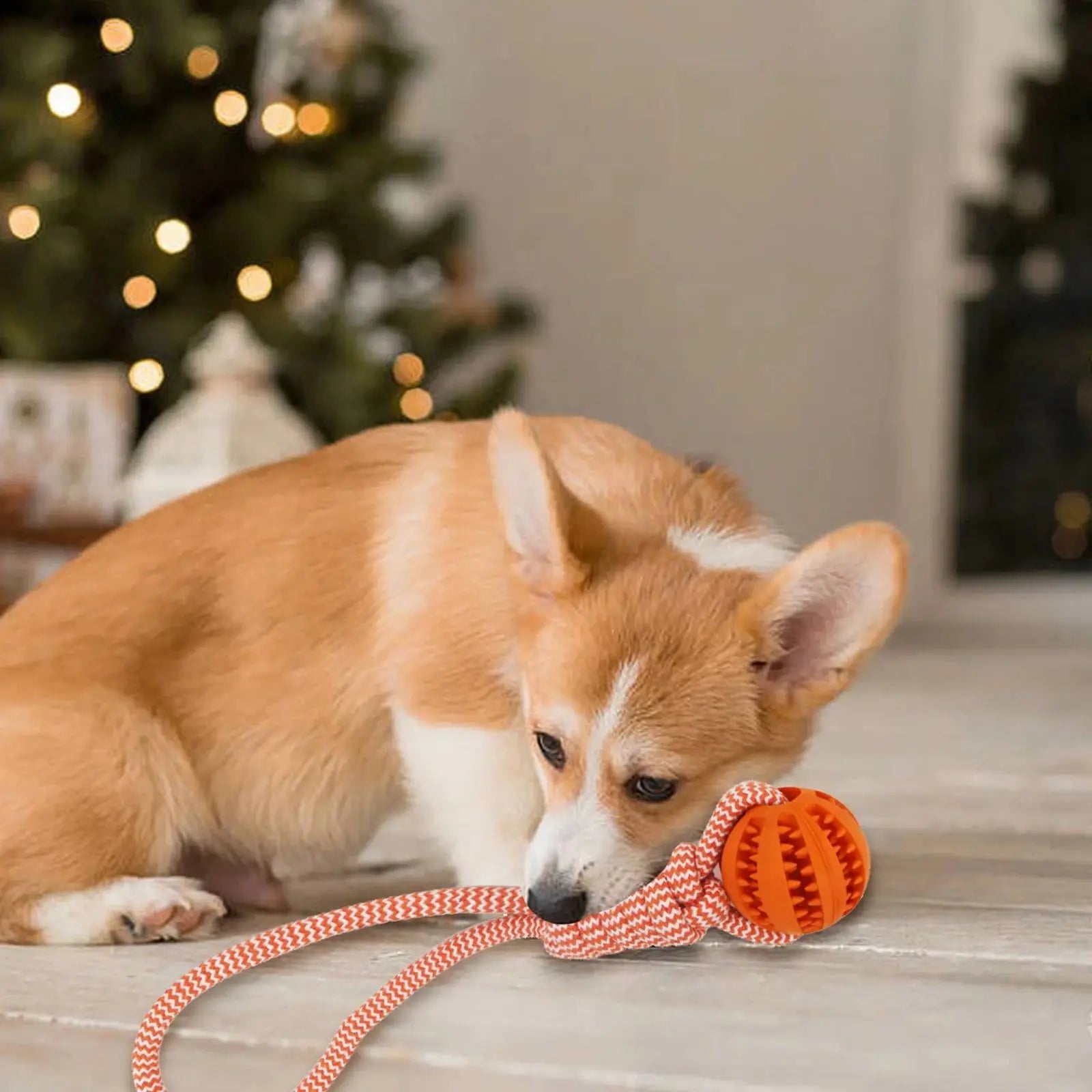 Woven Cotton Rope Chewing Toy