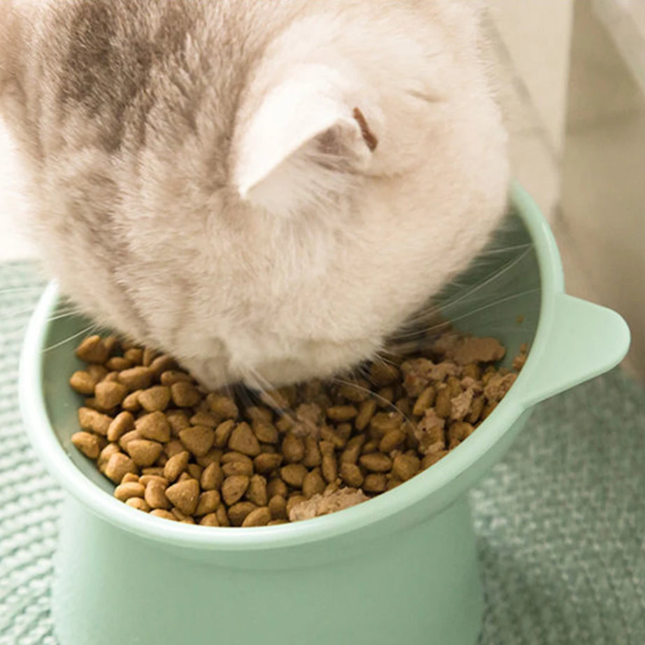 Elevated Tilted Cat Bowl – Anti-Vomit, Ergonomic Feeder