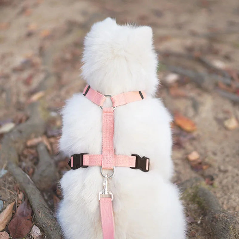 Pet Harness & Leash Set – Adjustable, Escape-Proof, Soft