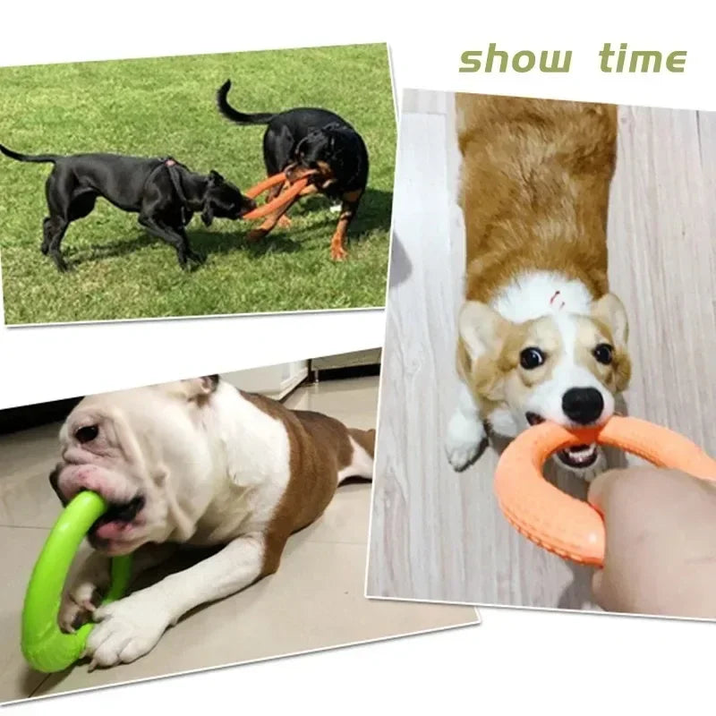 Large TPR Dog Toy Ring, Interactive, Durable Teeth Grinder