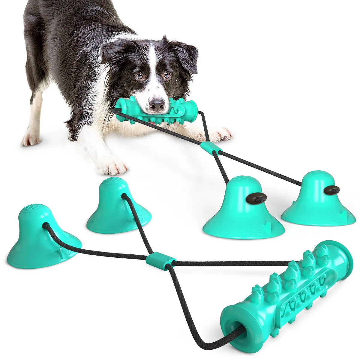 Dog Pacifier Toy