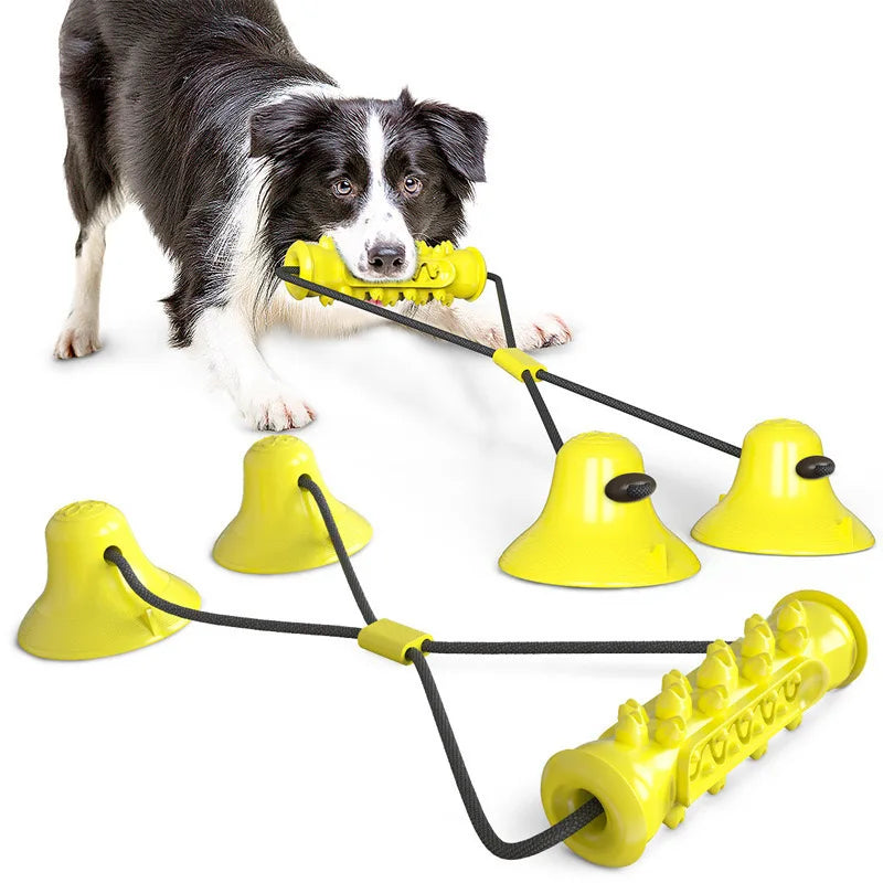 Dog Pacifier Toy