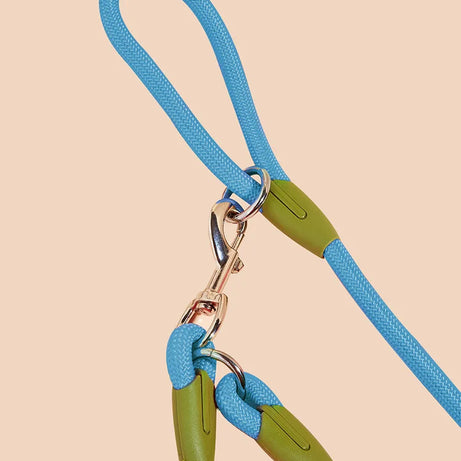 Reflective Nylon Dog Leash Hands-Free for Small Large Pets