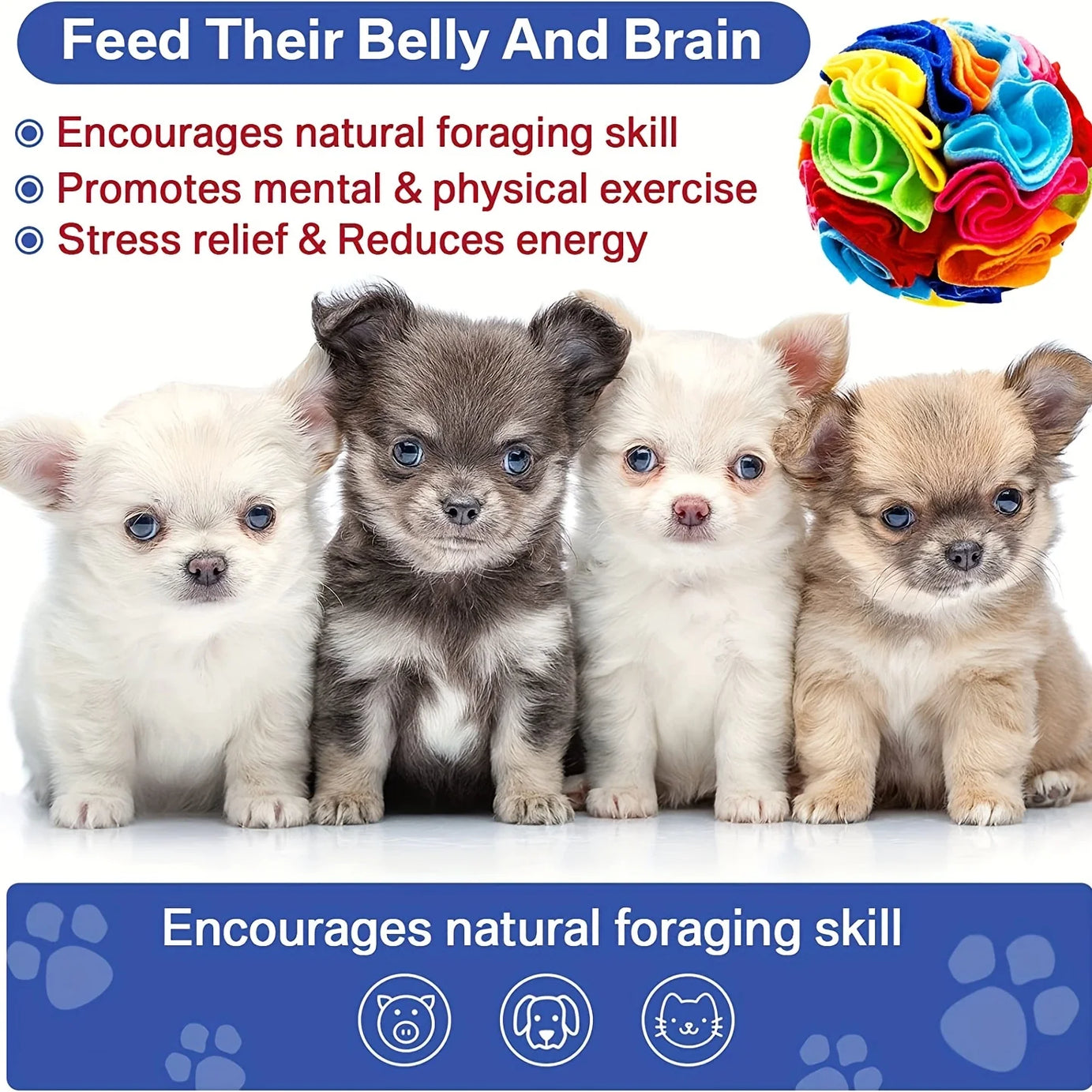 Snuffle Ball Dog Puzzle