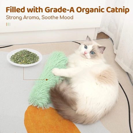 Funny Catnip Toy – Plush, Sounding, Bite-Proof Pillow Toy