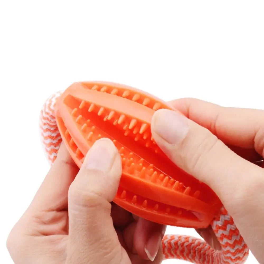 Dental Teething Training Toy