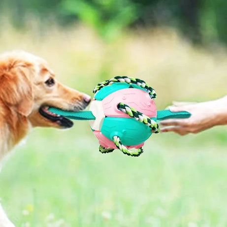 2-In-1 Dog Ball Frisbee with Rope